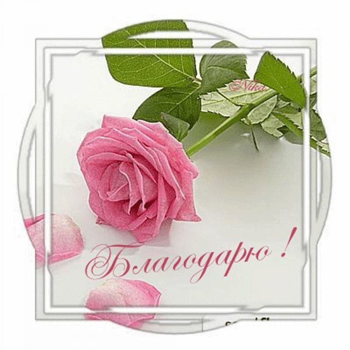 Спасибо вам большое