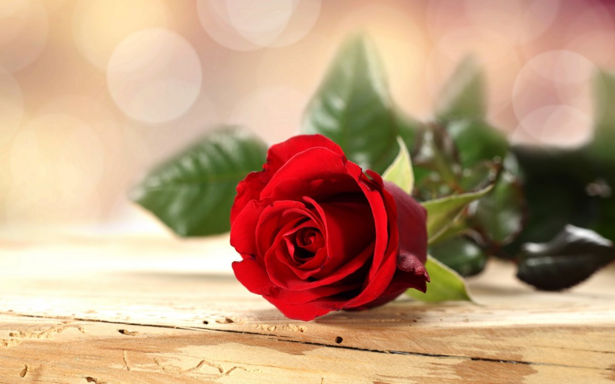 Открытка спасибо