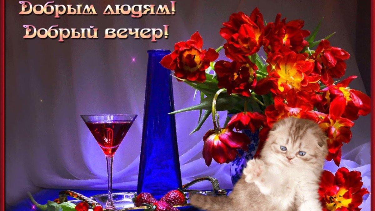 Добрый вечер мама