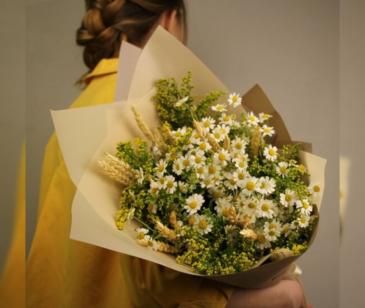 Солидаго сухоцвет