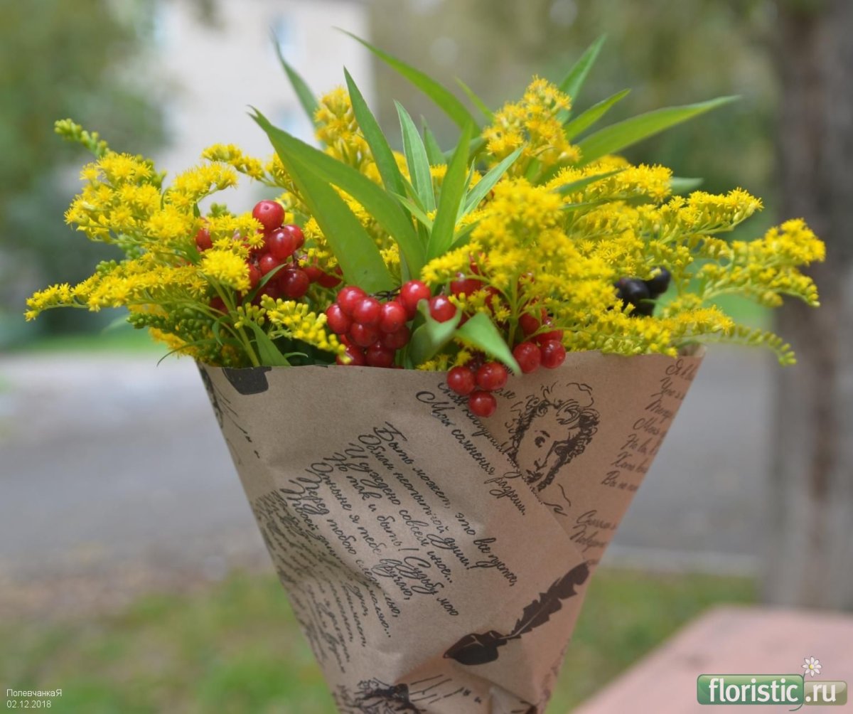 Хризантема с солидаго