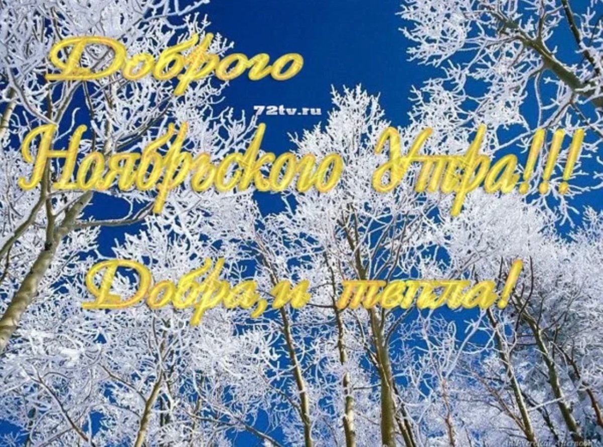 Удачного ноябрьского дня