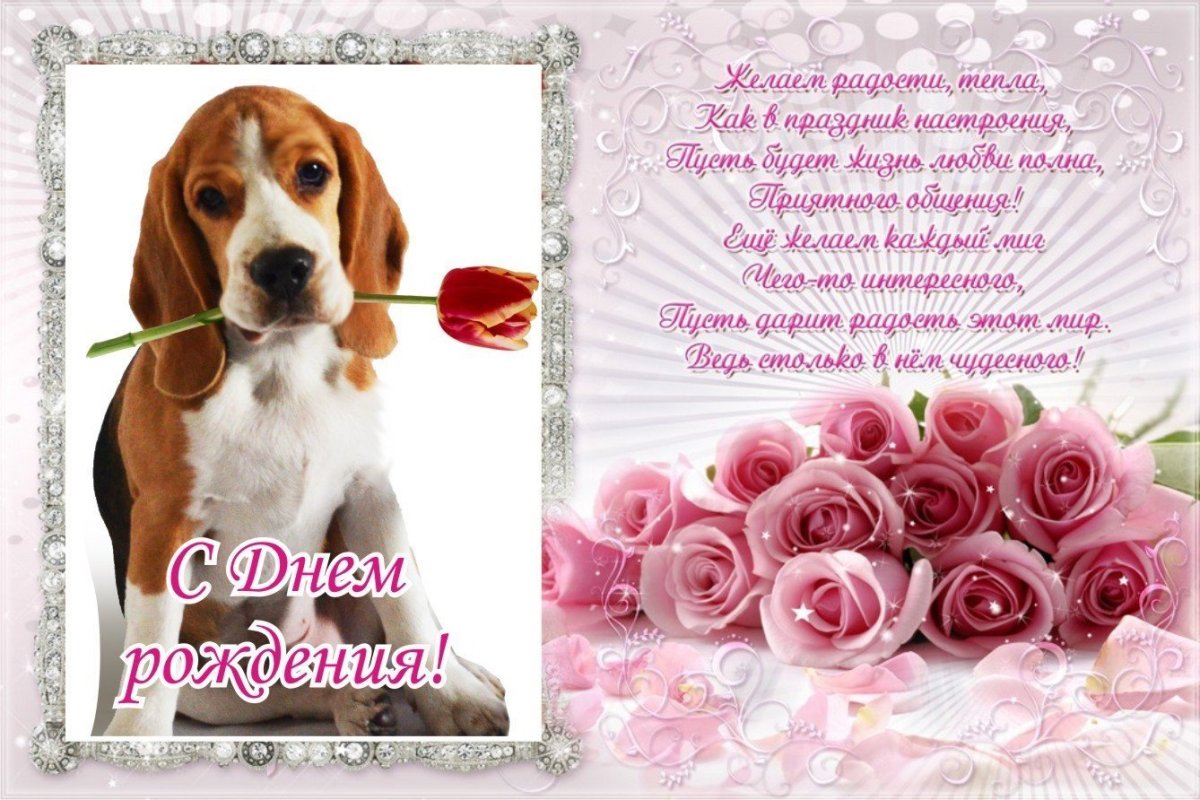 С днём рождения женщине