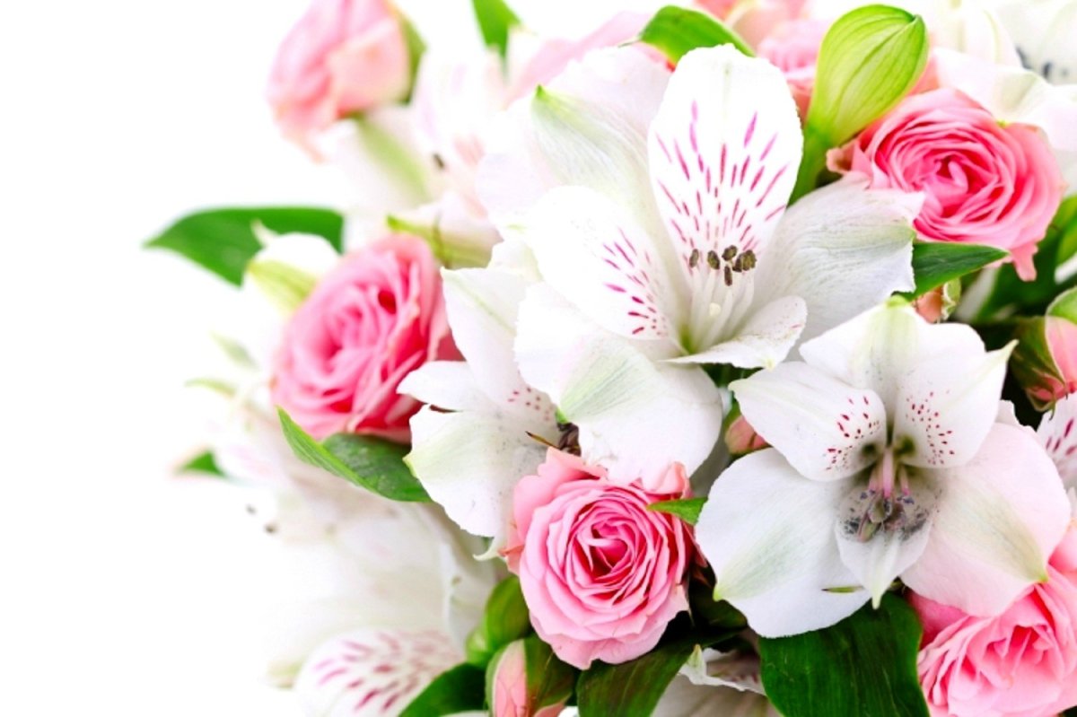 Поздравление с днём рождения Кате в стихах