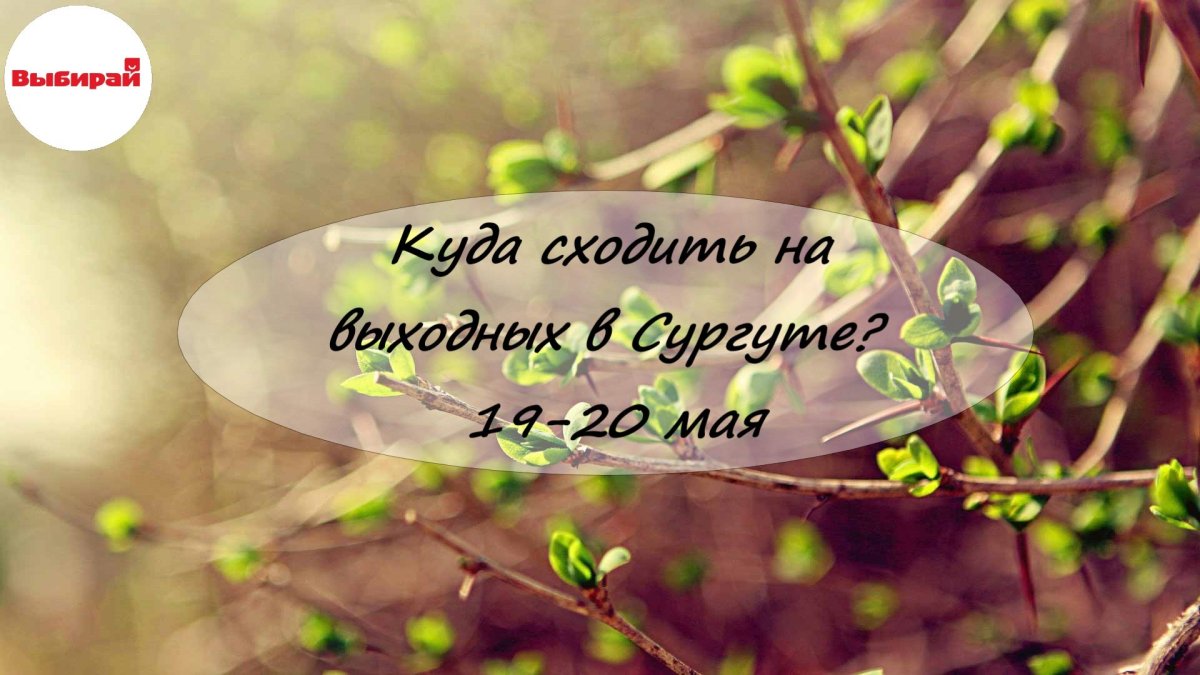 Цитаты с добрым утром со смыслом