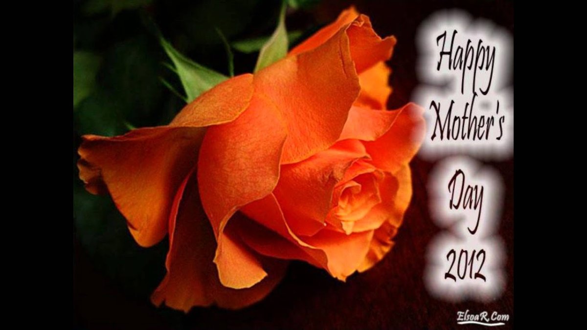 Открытки с днем рождения оранжевые розы