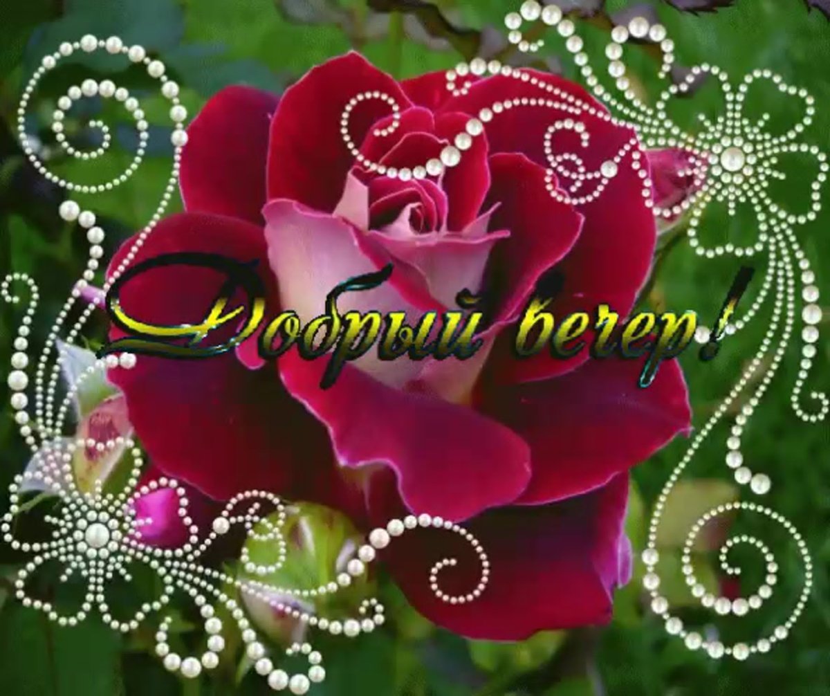 Поздравления с днём рождения Иоине