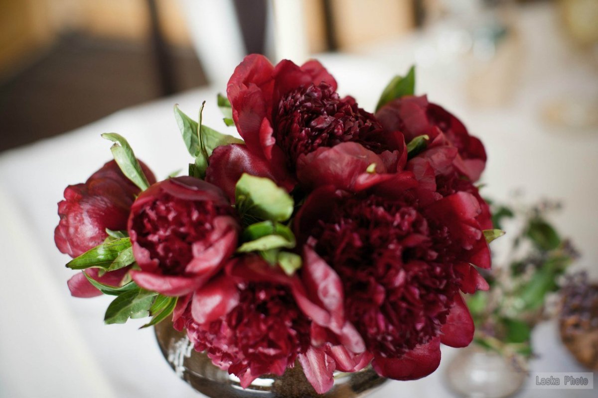 Бордовые пионы и фисташка