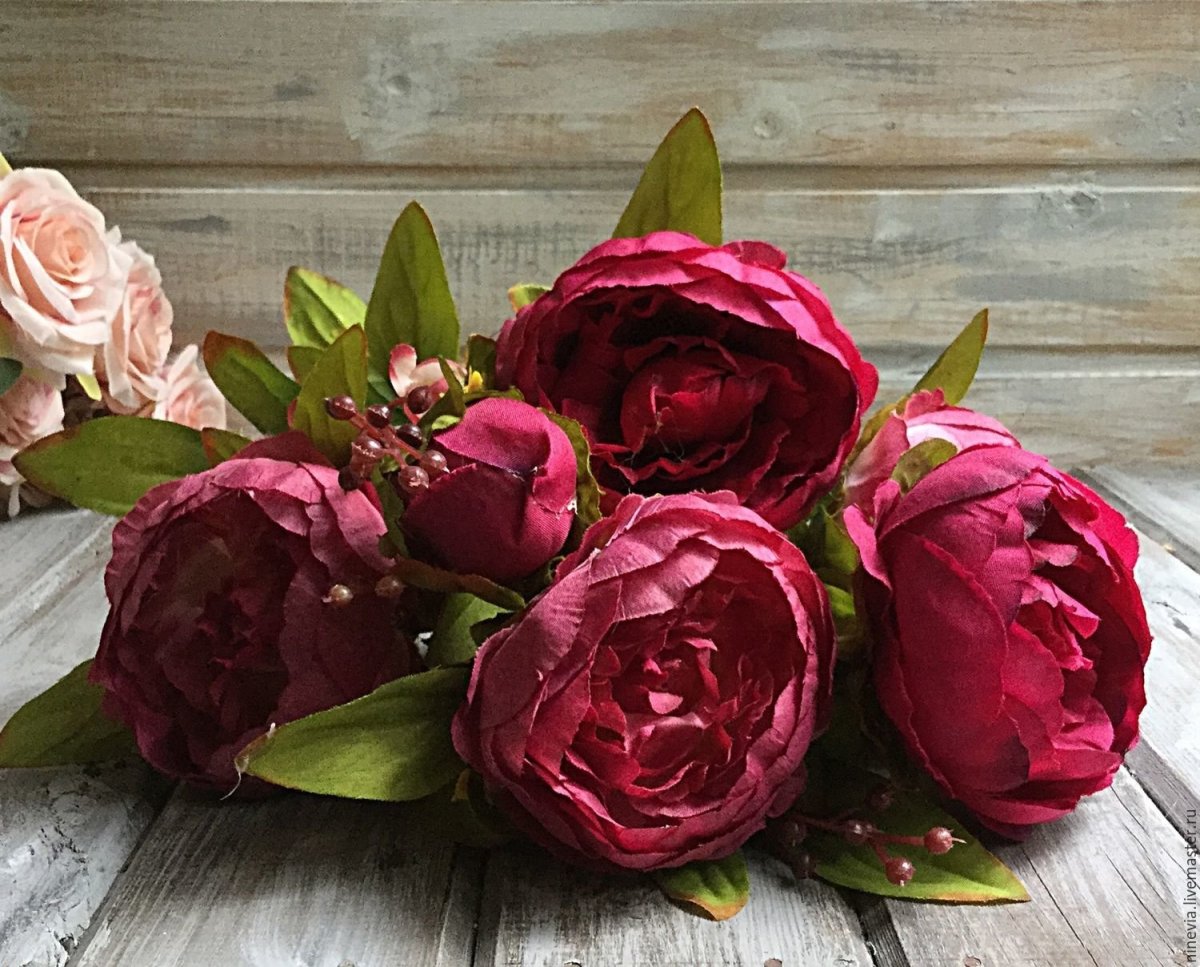 Цветы пионы красные