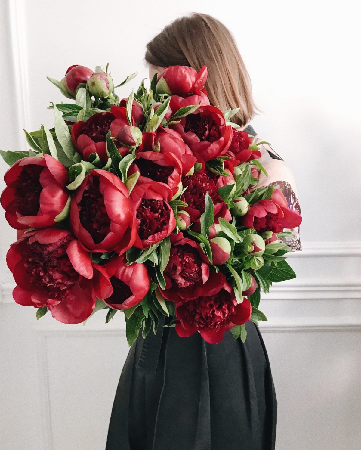 Бордовые пионы ред Шарм