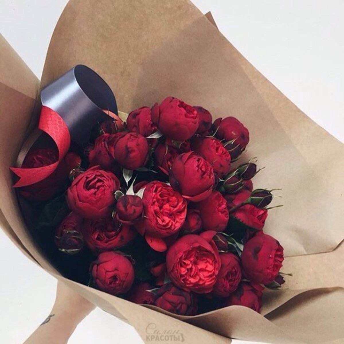 Бордовые пионы в коробке