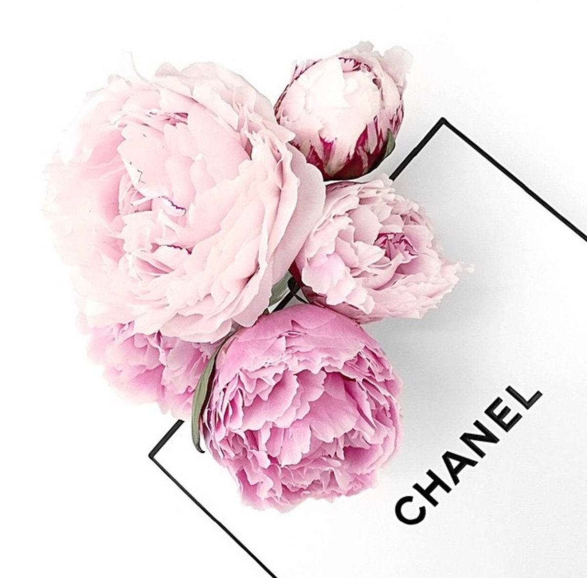 Букет бордовых пионов