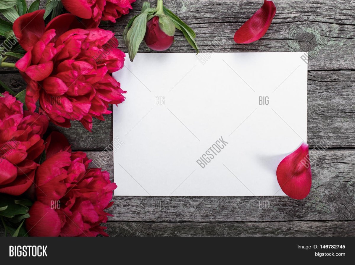 Пионы ред Чарм букет