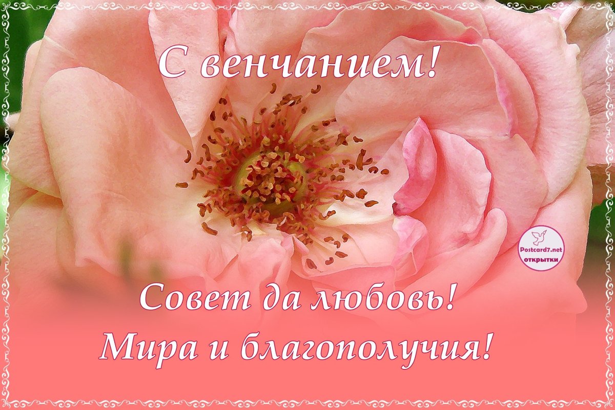 Открытки с венчанием