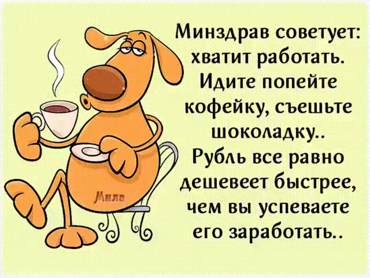 Совет дня с юмором