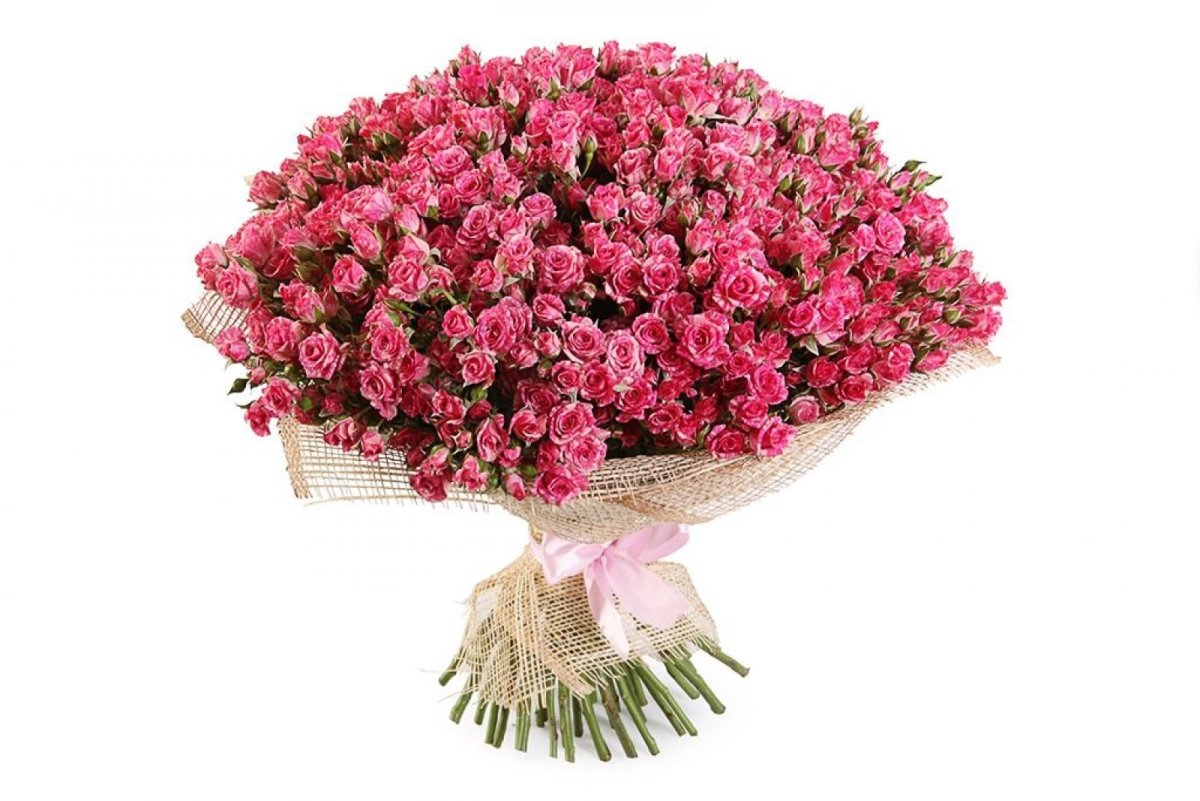 Cozumel роза кустовая