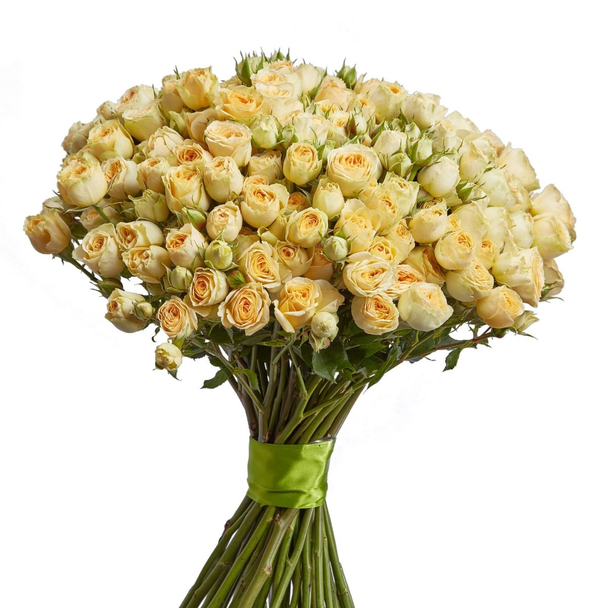 Кремовые кустовые розы в букете