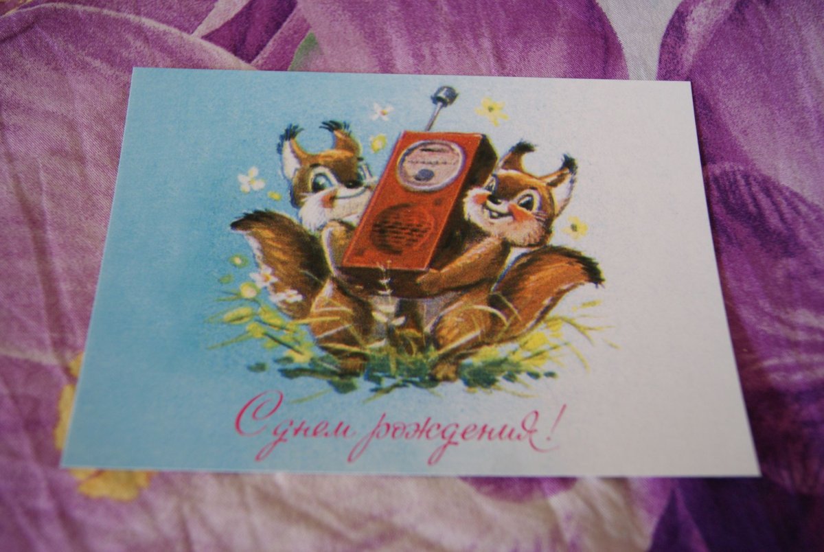 Белочка открытка Зарубина с днём рождения