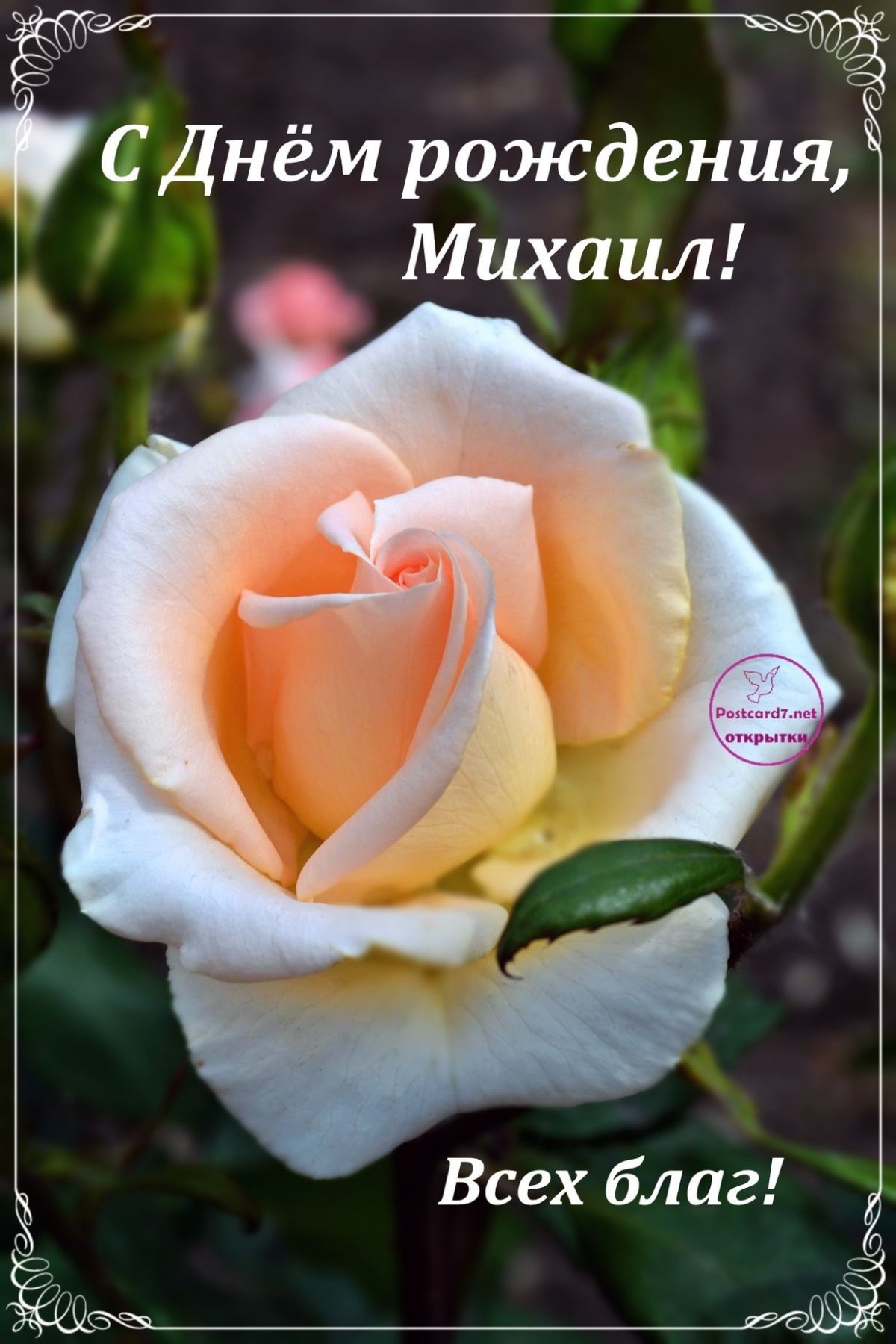 Миша с днём рождения открытки