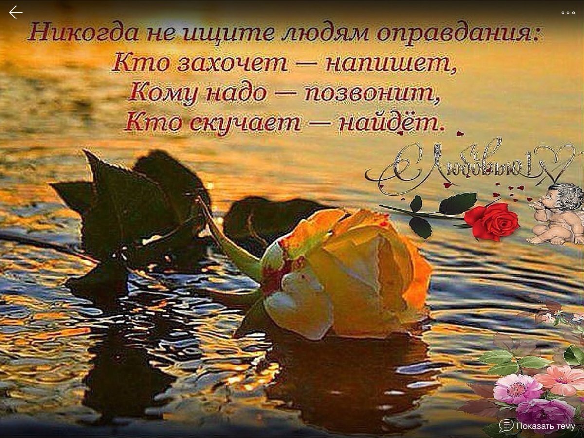 Прекрасное рядом цитаты