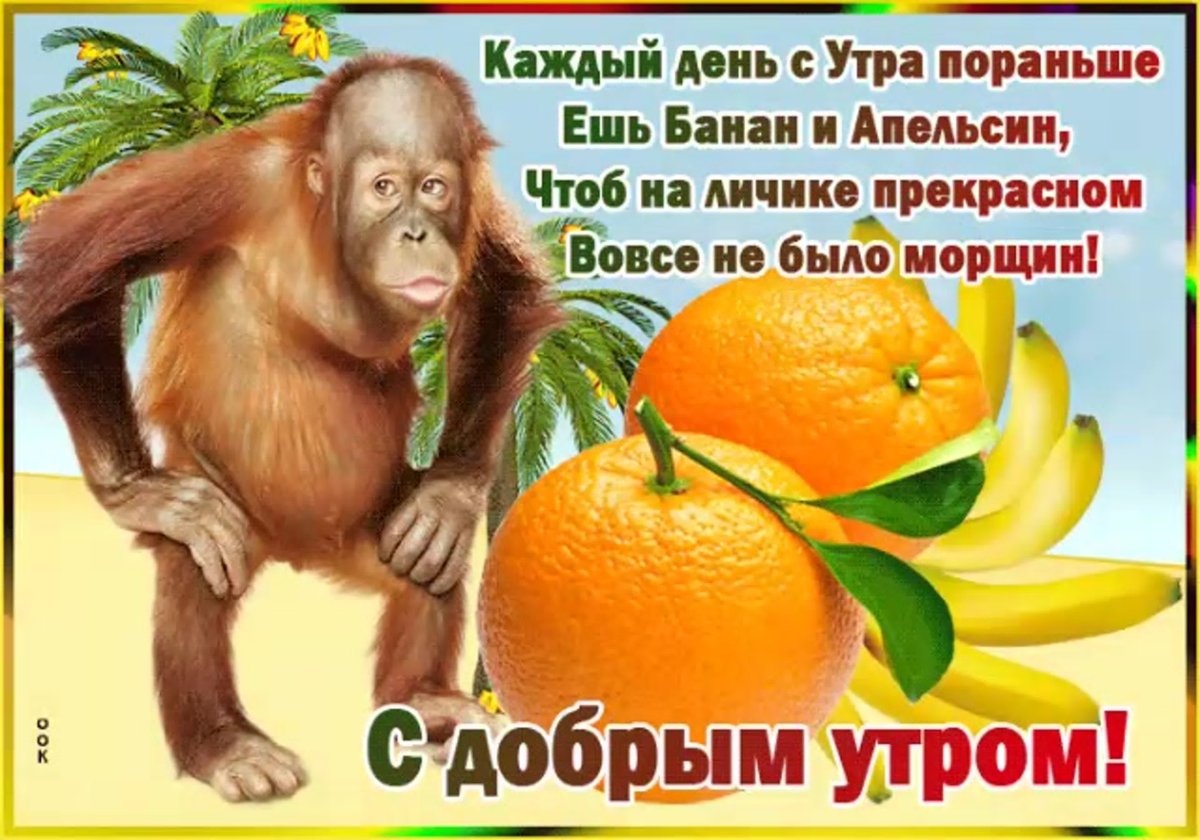 Пожелания доброго утра прикольные с юмором