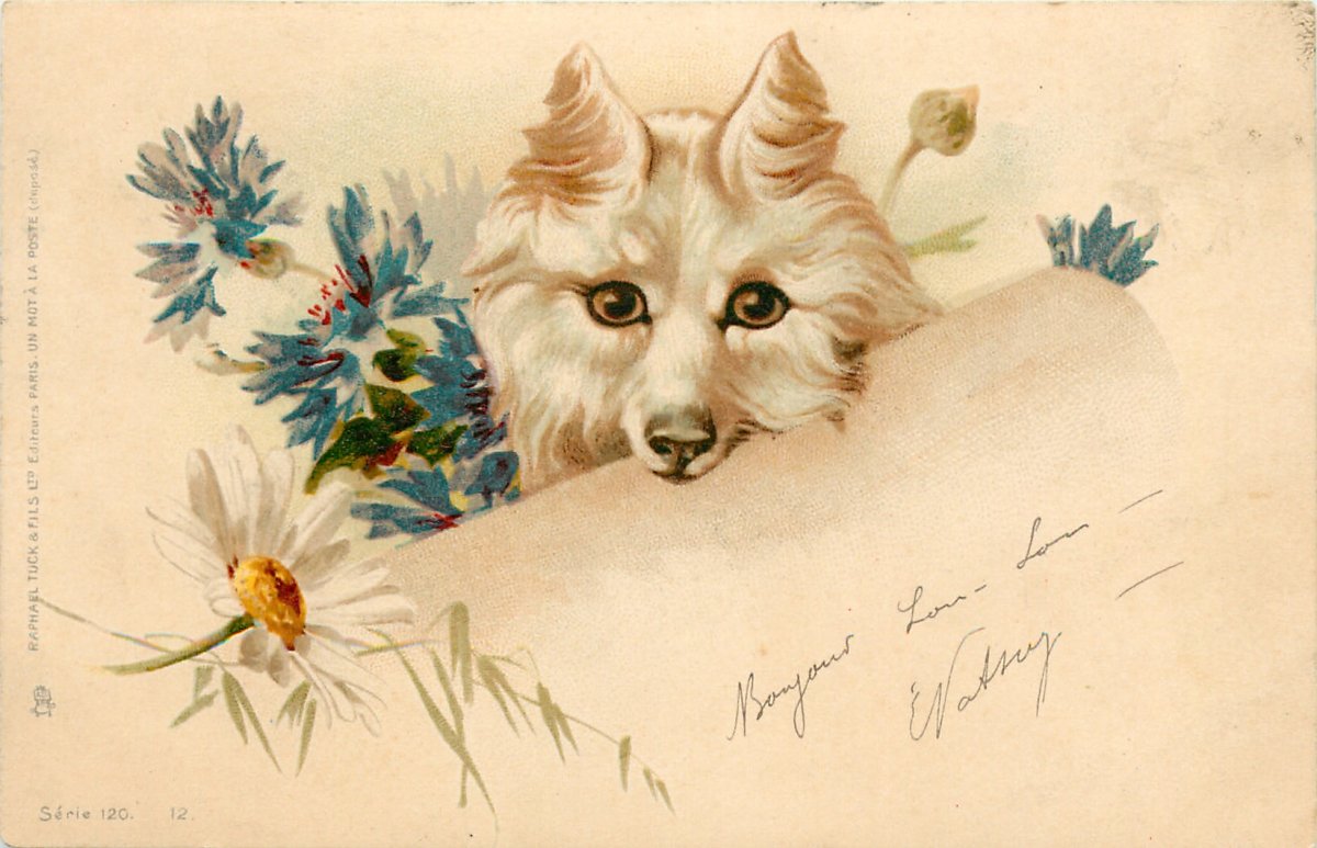 Старинные открытки с собаками