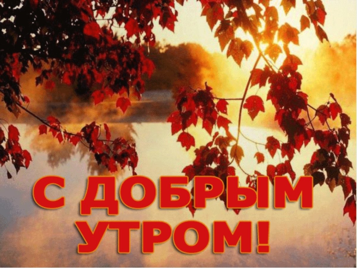 С добрым осенним утром