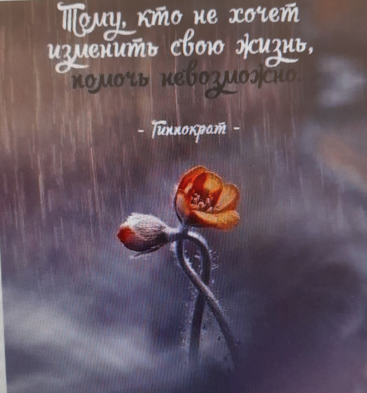 Красивые изречения о жизни