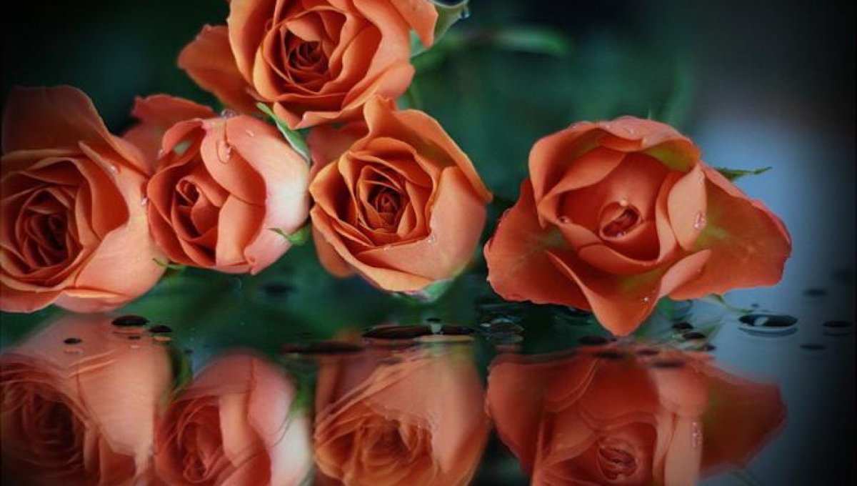 Открытка учителю на день учителя