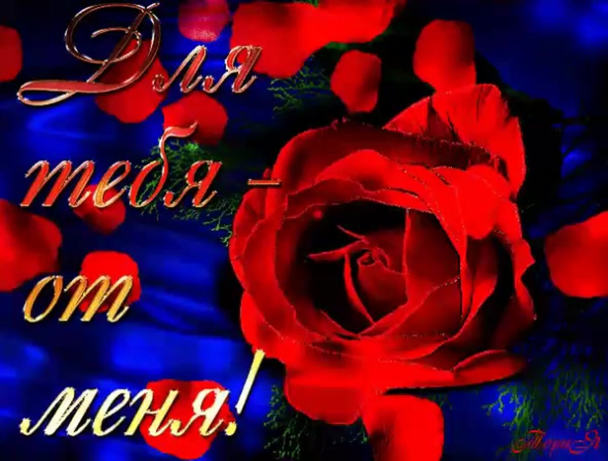 Пожелания доброго дня жене