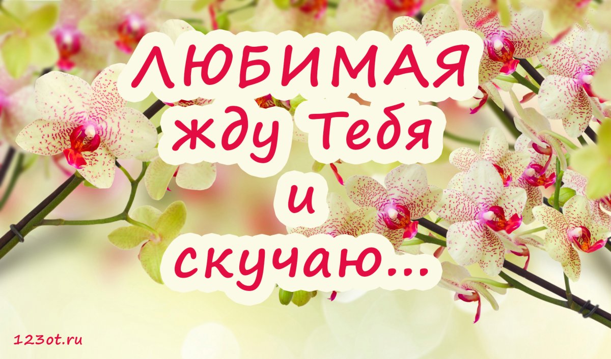 Красивые стихи для любимого мужчины