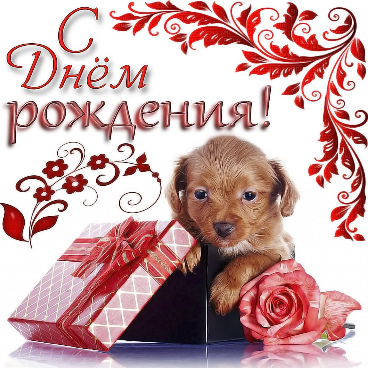 С днём рождения женщине