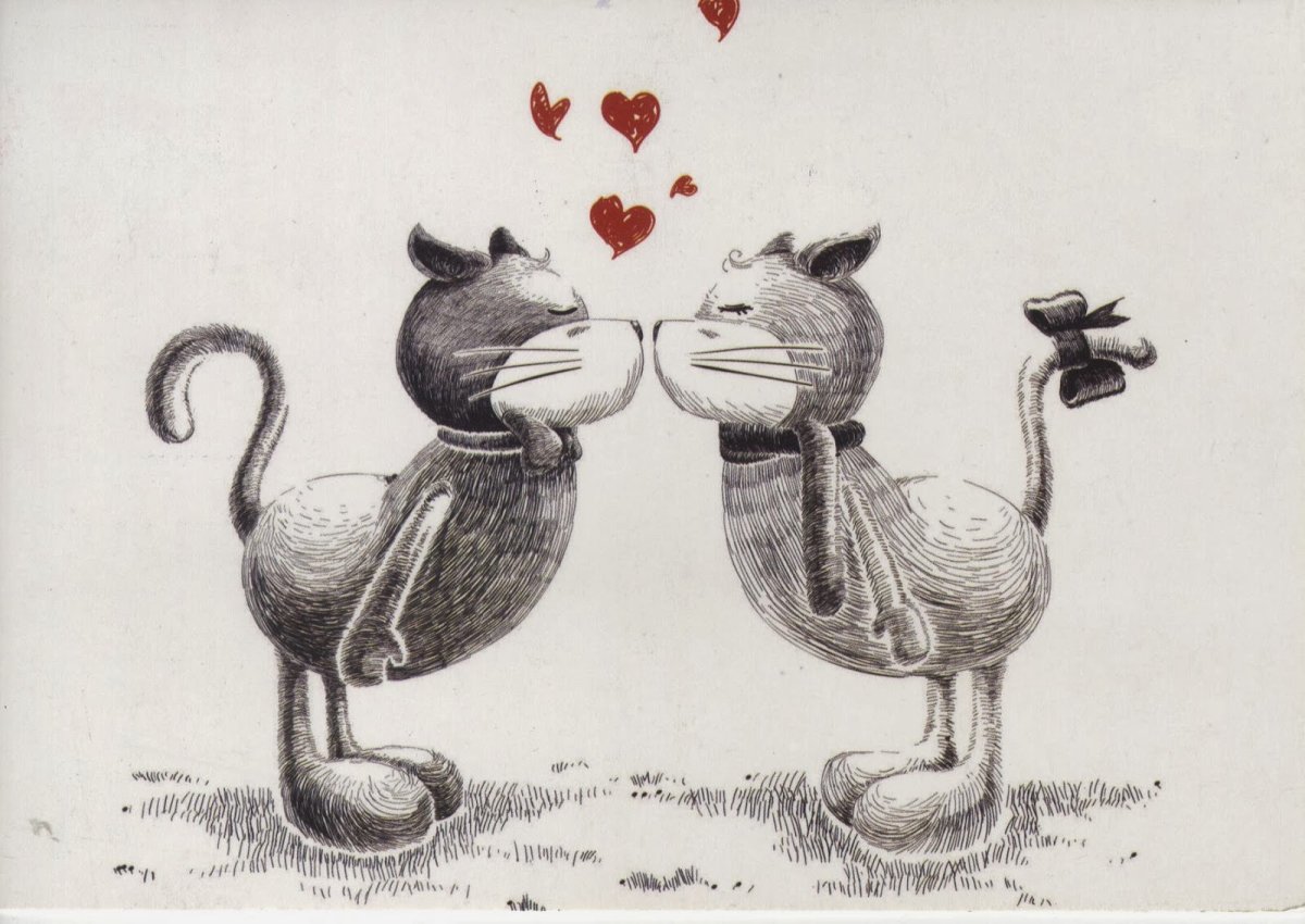 Влюбленные котики рисунок