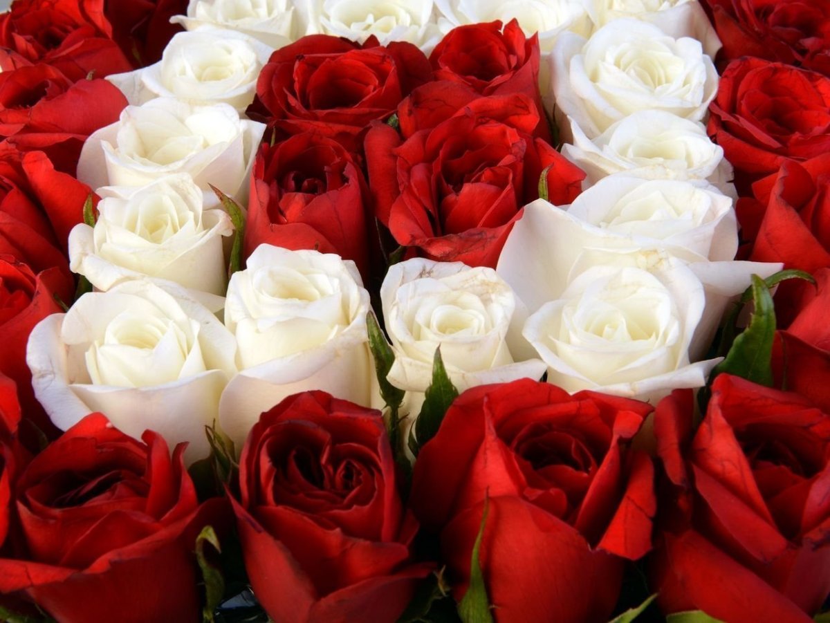 Гулар Феруза