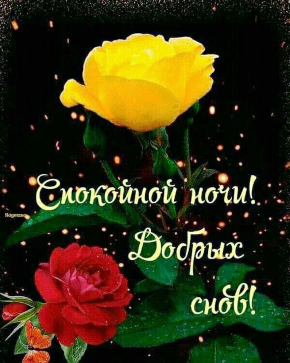 Цветы с пожеланием спокойной ночи