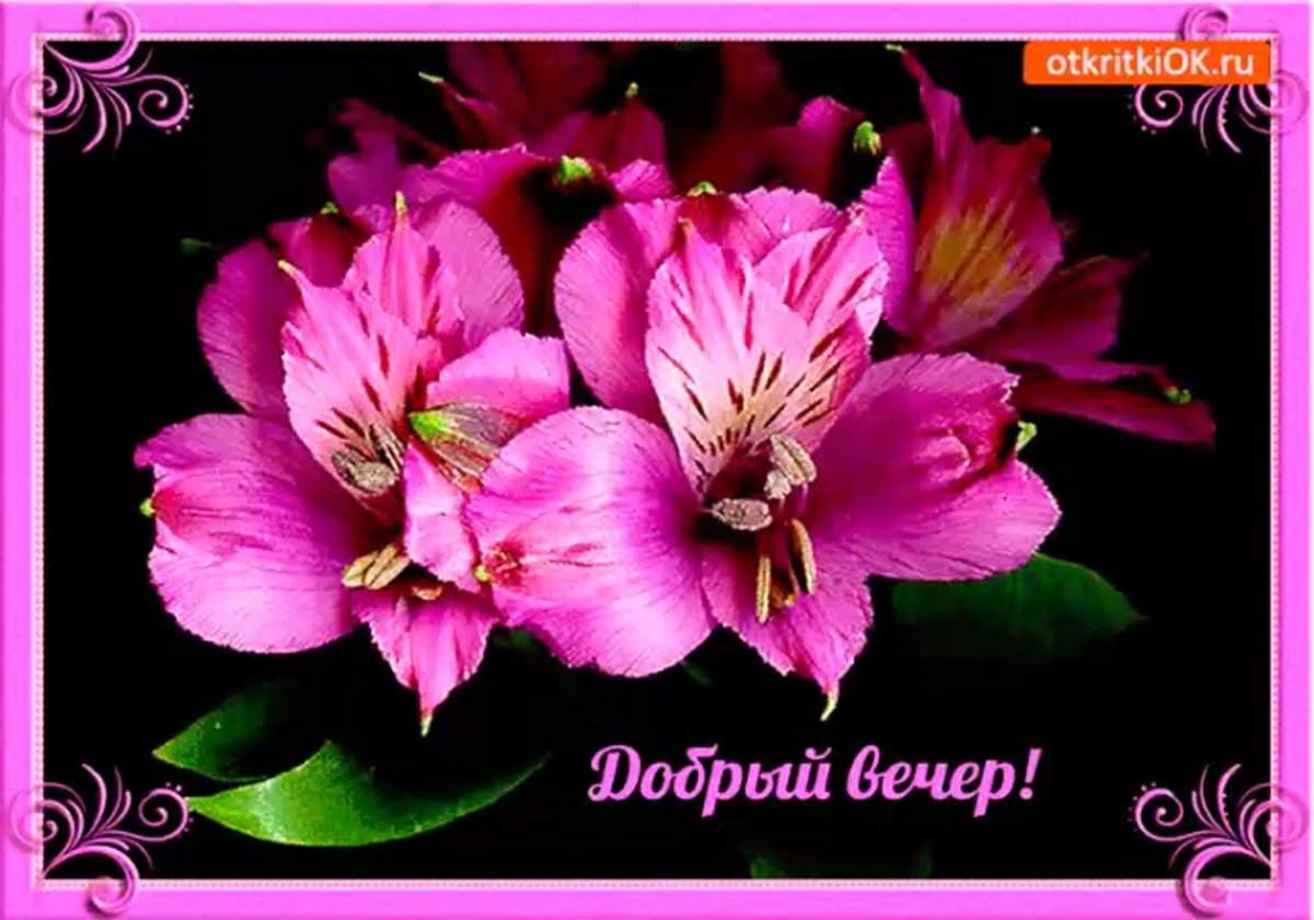 Открытки добрый вечер цветы