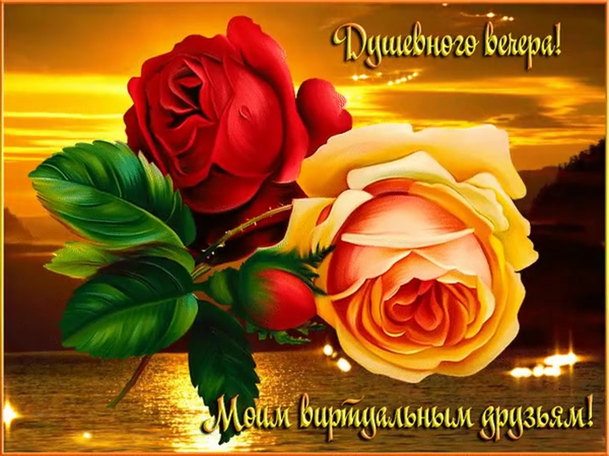 Прекрасного вечера и доброй ночи