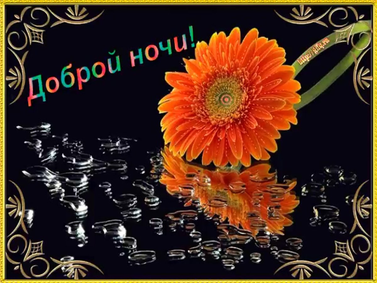 Открытки спокойной ночи