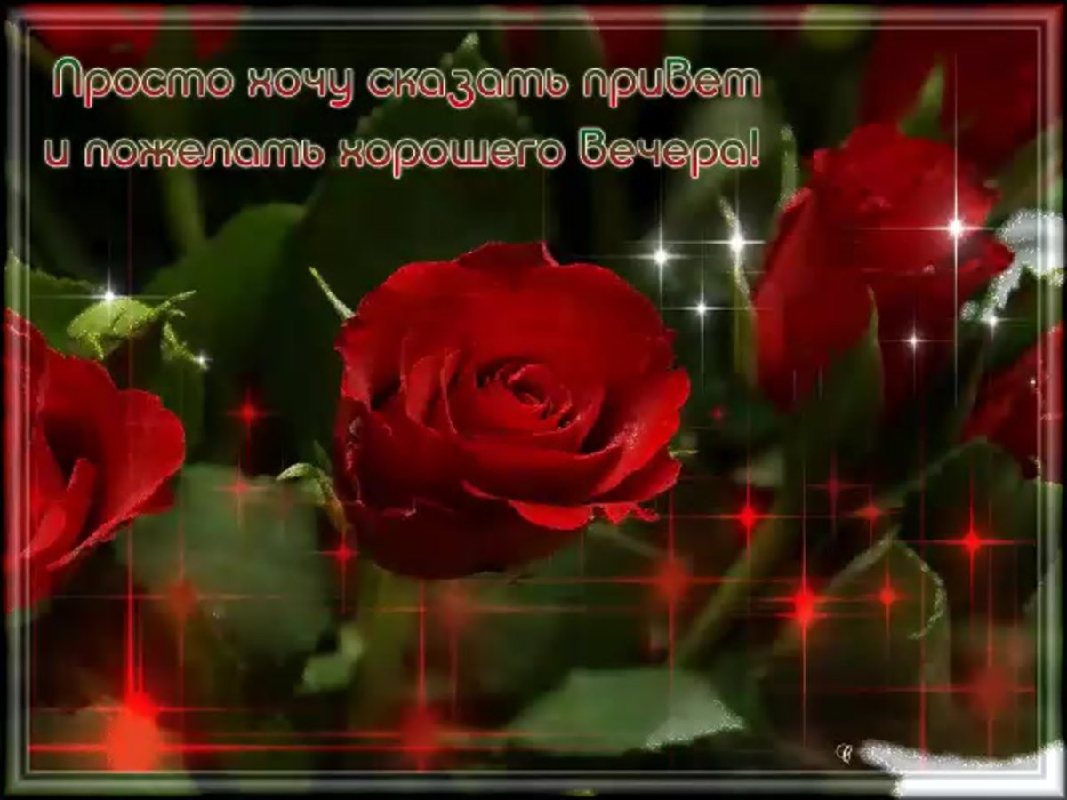 Добрый вечер анимация