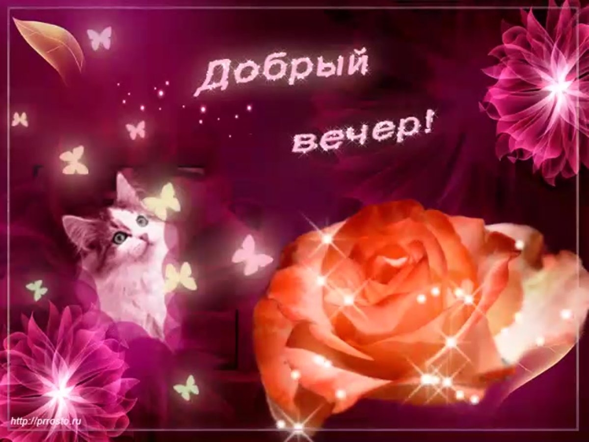 Спокойной ночи с цветами