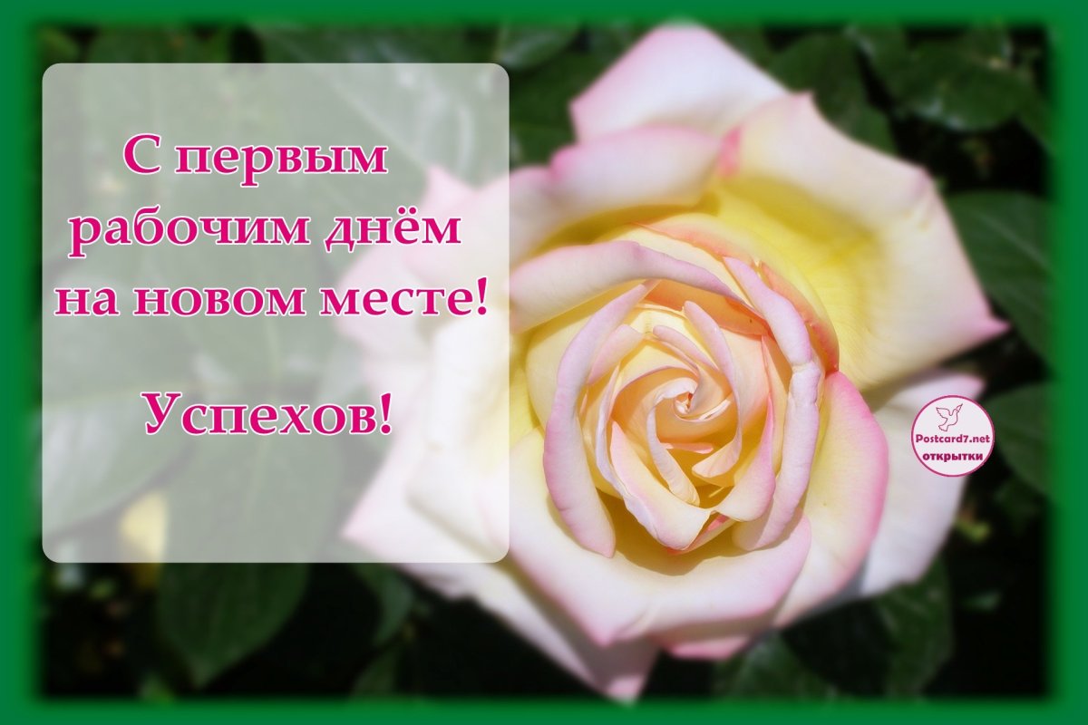 Фотоальбом коллеге при увольнении