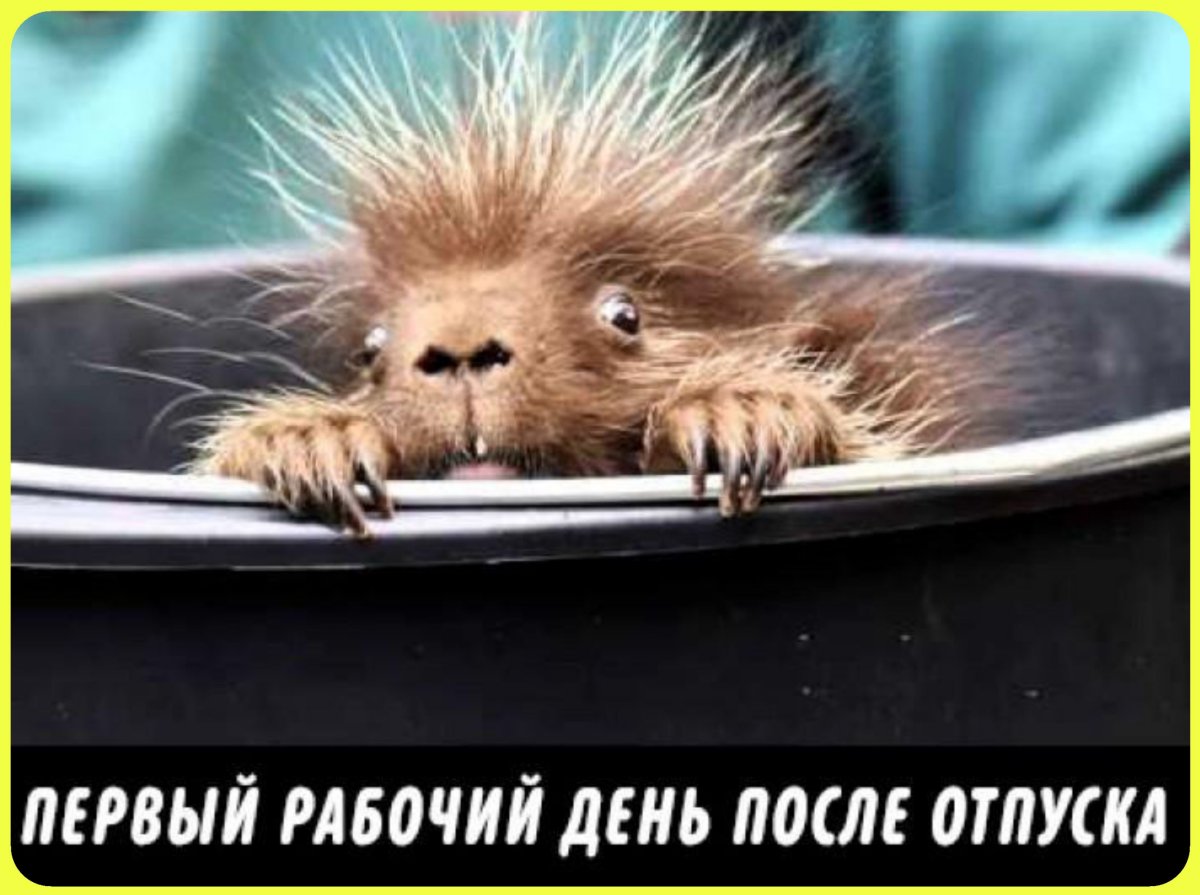 Поздравление с выходом на работу