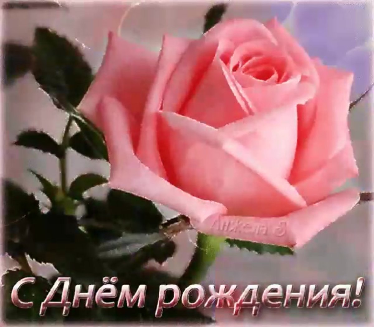 Йорк поздравляет с днем рождения