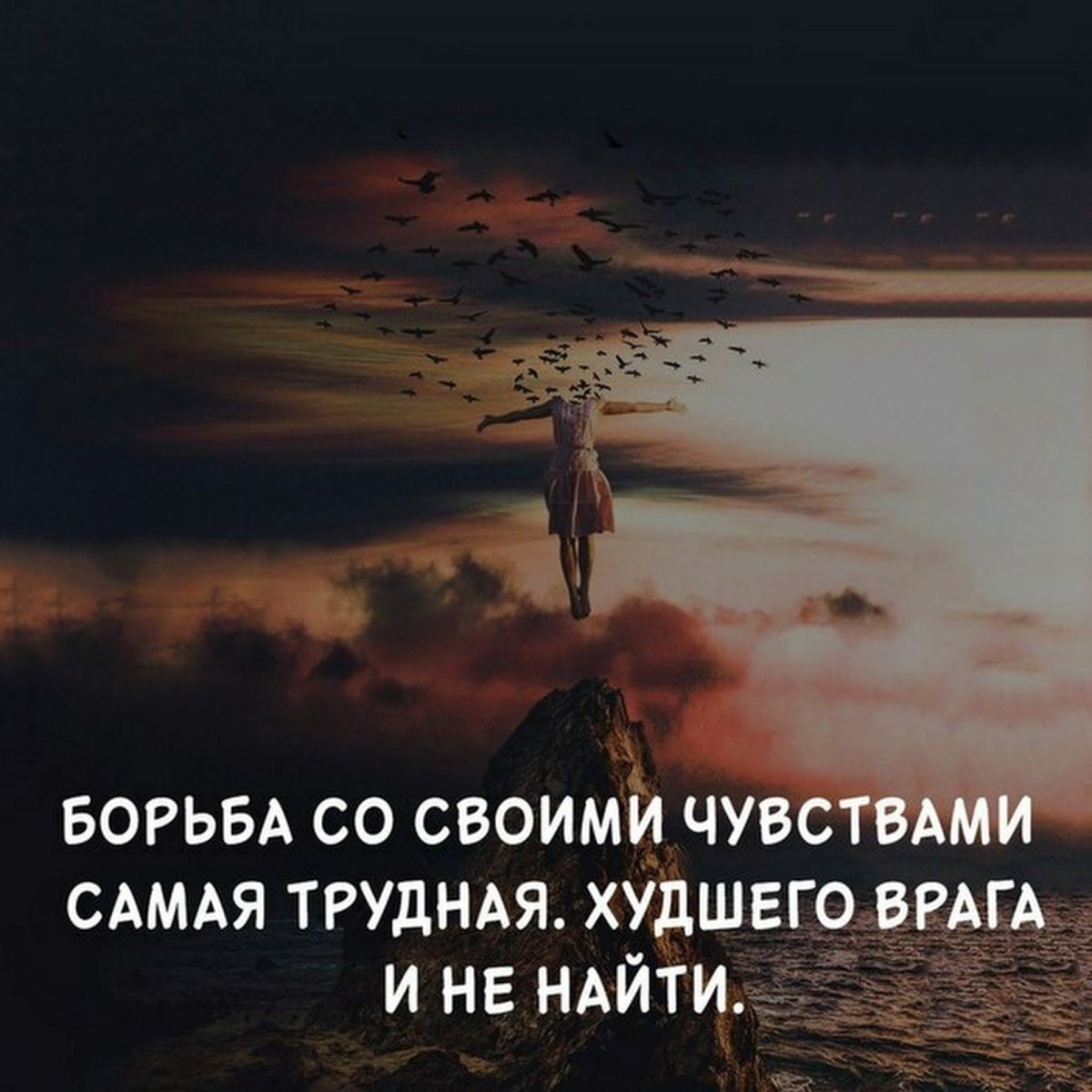 Красивые цитаты