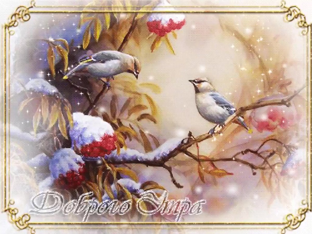 Красивые зимние открыточки с добрым утром