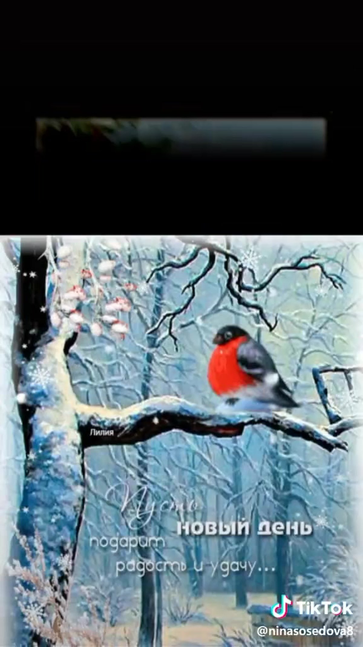 С добрым зимним утром Марина