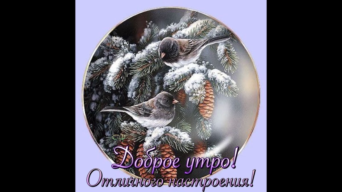 Картинки доброе утро зимние волшебные