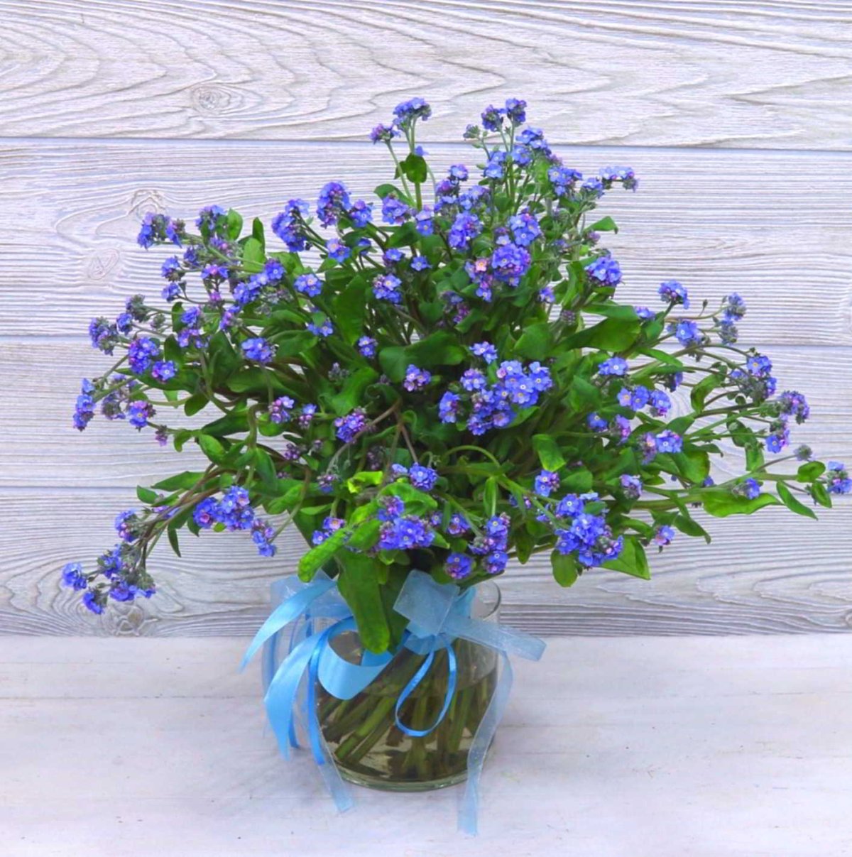 Будет незабудки