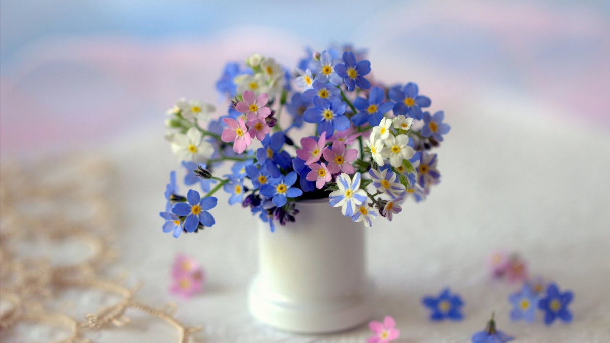 Букет полевых незабудок