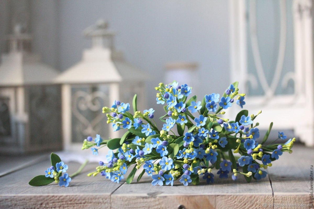 Цветы незабудки букет